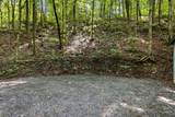 225 Coys Cove Ln - Photo 3