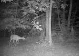 475 Mccord Hollow Rd - Photo 37