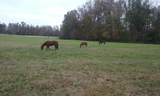 296 Mulberry Rd - Photo 45