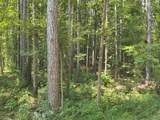 4897 Lick Creek Rd - Photo 20