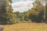 0 Grapevine Road - Photo 11