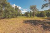 0 Grapevine Road - Photo 16