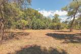 0 Grapevine Road - Photo 17