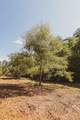 0 Grapevine Road - Photo 20