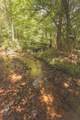 0 Grapevine Road - Photo 40