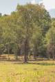 0 Grapevine Road - Photo 10