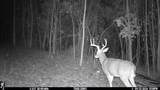 0 Clemons Ridge Rd - Photo 19