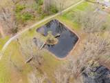173 Bellview Avenue - Photo 28