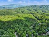 4414 Forest Vista Way - Photo 46