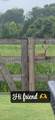 1207 Hodges Rd - Photo 41