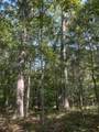 0 Cedar Grove Rd - Photo 31