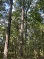 0 Cedar Grove Rd - Photo 33