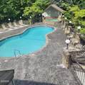 1130 Ski View Drive - Photo 40