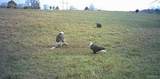 5141 Devers Rd - Photo 4