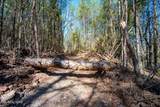 0 Wolfenbarger - Photo 18