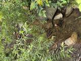14030 Skull Creek Rd - Photo 9