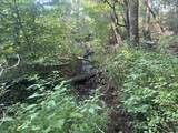 0 Rayburn Creek Rd - Photo 25