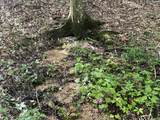 0 Rayburn Creek Rd - Photo 27