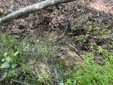 0 Rayburn Creek Rd - Photo 31