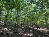0 Rayburn Creek Rd - Photo 34
