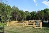 1021 Vida Way - Photo 26