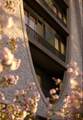 1100 16th Ave - Photo 2