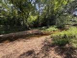 205 Smith Cemetary Ln - Photo 4