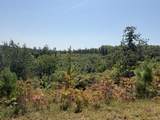 205 Smith Cemetary Ln - Photo 42