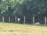 160 County Road 968 - Photo 25