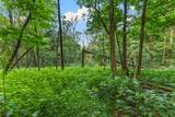 8031 Palmore Hollow Ln - Photo 56
