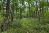 8031 Palmore Hollow Ln - Photo 58