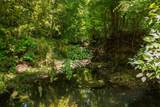 8031 Palmore Hollow Ln - Photo 80