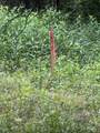 328 Young Branch Rd - Photo 15