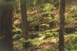 0 Cherokee Trail - Photo 15