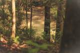 0 Cherokee Trail - Photo 18