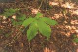 0 Cherokee Trail - Photo 28