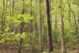 0 Cherokee Trail - Photo 29