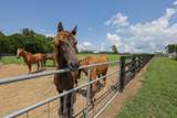 121 Wartrace Creek Rd - Photo 4