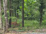 137 Summit Dr - Photo 52