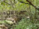 877 Hanna Branch Rd - Photo 4