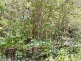 877 Hanna Branch Rd - Photo 48