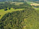 0 Shelter Branch - Photo 40