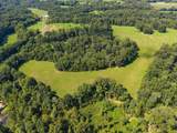 0 Shelter Branch - Photo 41
