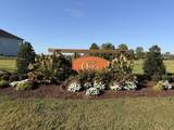 810 Molly Lane - Photo 39