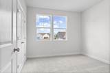 815 Molly Lane - Photo 12