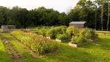 1489 Old Tva Rd - Photo 50
