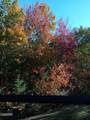 1081 Cove Road - Photo 24