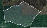 0 Neddy Mountain Rd - Photo 1