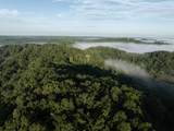 1100 Pond Creek Rd - Photo 14