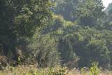 1100 Pond Creek Rd - Photo 23